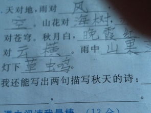 描寫(xiě)秋天的連續兩句古詩(shī)句