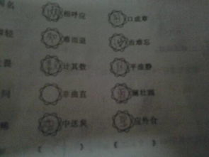 詩(shī)句,結尾