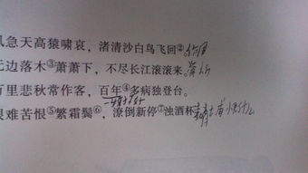 發(fā)現問(wèn)題及時(shí)改正的古詩(shī)句