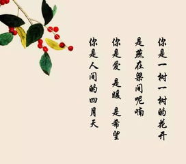 詩(shī)句,初見(jiàn),表達,美好