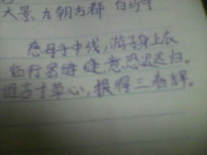 贊美母愛(ài)的詩(shī)句或古詩(shī)譯文