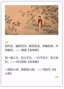 詩(shī)句,表彰,形容