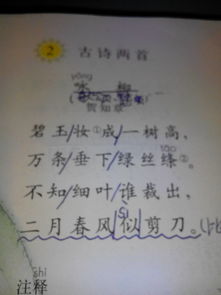 古詩(shī)贊美脈診的詩(shī)句