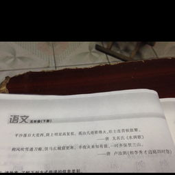傳遞信息關(guān)于驛站的詩(shī)句