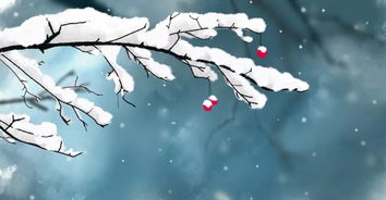 關(guān)于雪的詩(shī)句五個(gè)字