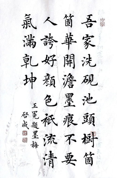 關(guān)于梅花的詩(shī)句楷書(shū)
