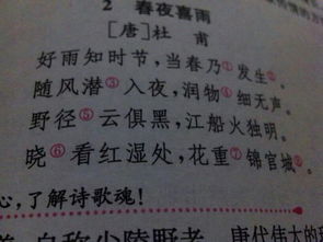 5句帶有地點(diǎn)的古詩(shī)句