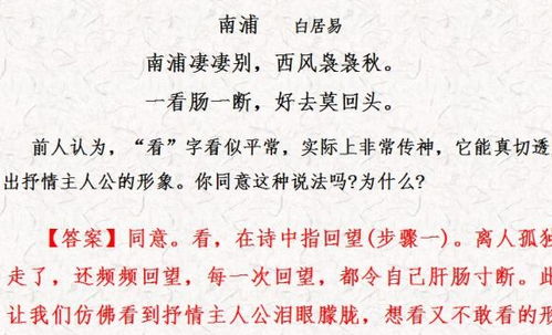 高中關(guān)于詩(shī)句的常識題目