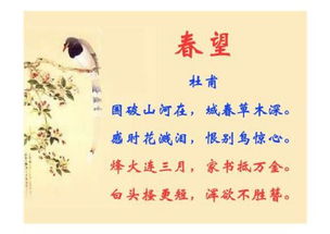 表達辭舊迎新的古詩(shī)句,表達深情的古詩(shī)句,表達生日祝福的古詩(shī)句