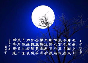 關(guān)于月的思念?lèi)?ài)人的詩(shī)句