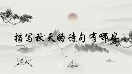 別董大中有關(guān)于哲理的送別詩(shī)句