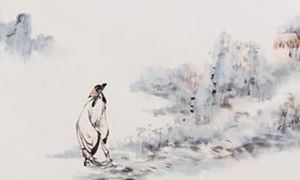 古詩(shī)詞中描寫(xiě)觀(guān)察的詩(shī)句