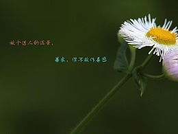 關(guān)于保護小花的詩(shī)句