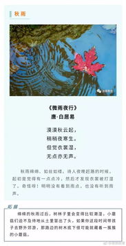 關(guān)于豐收的秋天的詩(shī)句古詩(shī)詞