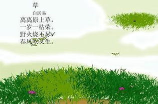 描寫(xiě)植物的古詩(shī)句6