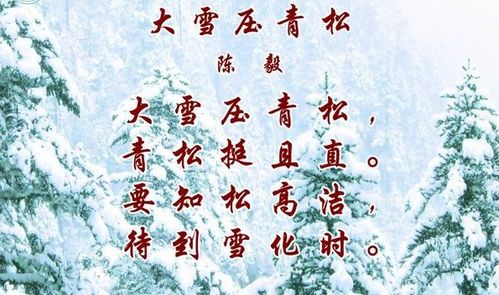 關(guān)于青松的詩(shī)句古詩(shī)詞