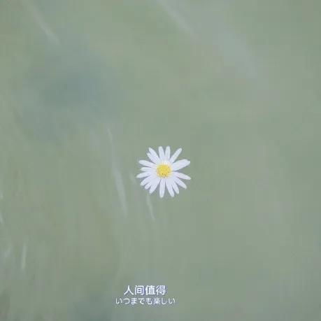 堅定的古詩(shī)句