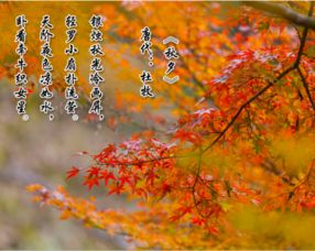 關(guān)于七言冬天的詩(shī)句