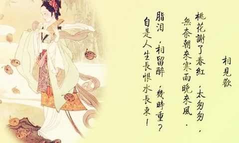 杜甫關(guān)于寫(xiě)雨的詩(shī)句