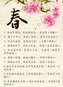 古詩(shī)詞中有寫(xiě)月的精彩詩(shī)句