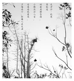 關(guān)于蘭州家鄉的詩(shī)句