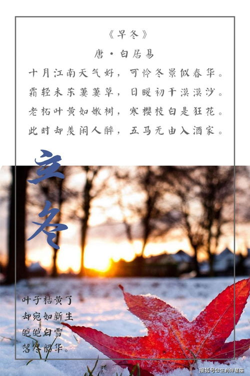 有關(guān)于立冬的詩(shī)句或諺語(yǔ)