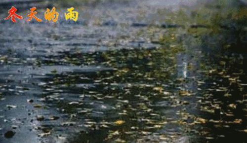 古詩(shī),詩(shī)句,冬天