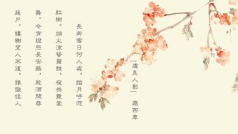 詩(shī)句,于月