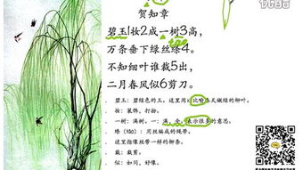 古詩(shī),句子,詠柳