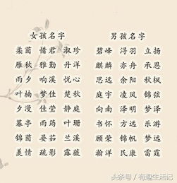 能起名字的古詩(shī)句