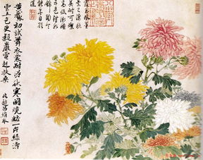 有關(guān)菊花詩(shī)句古詩(shī)大全