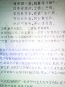 關(guān)于珍惜時(shí)間的古詩(shī)句及出處