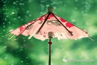 一首,詩(shī)句