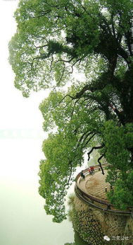 體現大自然的美的詩(shī)句,贊嘆大自然美的詩(shī)句,說(shuō)大自然美的詩(shī)句