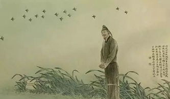 杜甫關(guān)于青春的詩(shī)句