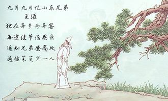 不被,詩(shī)句,形容,理解