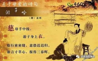 警句,古詩(shī),詩(shī)句,名言