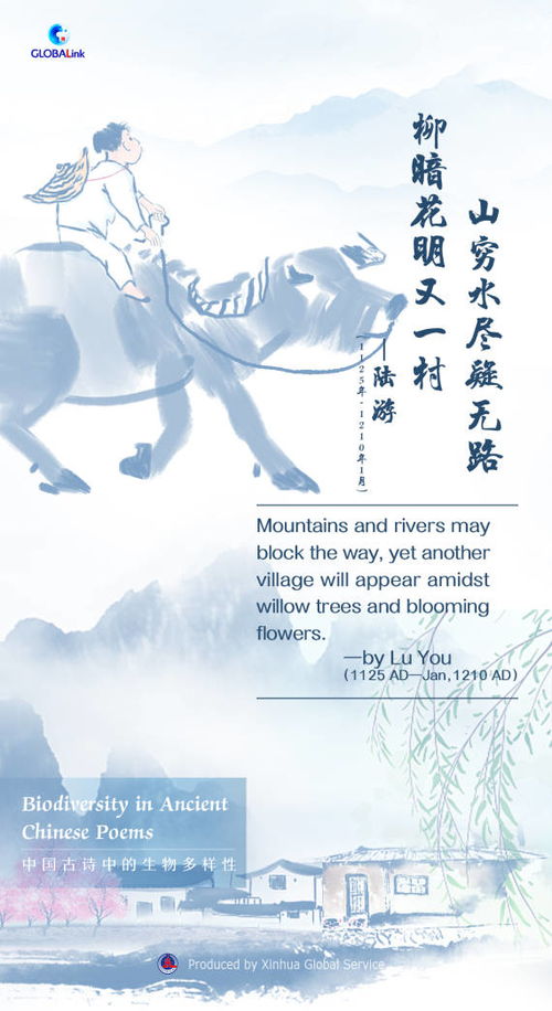 古詩(shī)中舍小家保國家的詩(shī)句