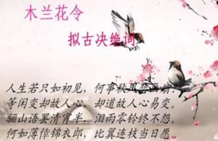 快意,詩(shī)句,灑脫,人生態(tài)度