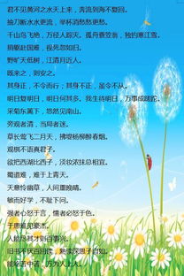 警句,詩(shī)句,美德,名言