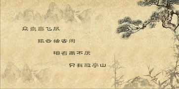 關(guān)于孤鳥(niǎo)的詩(shī)句古詩(shī)
