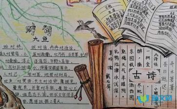 菊花思鄉的詩(shī)句古詩(shī)