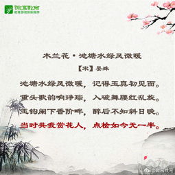 關(guān)于感恩知己的詩(shī)句