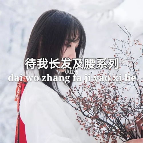 有關(guān)于長(cháng)發(fā)的詩(shī)句