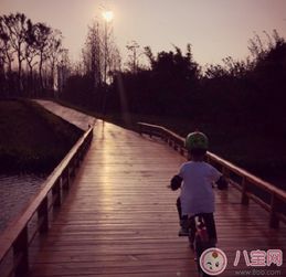 詩(shī)句,快樂(lè )