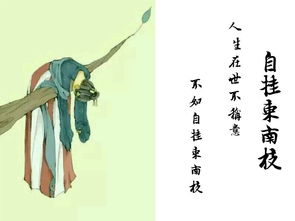 古詩(shī)句中有zhao音的