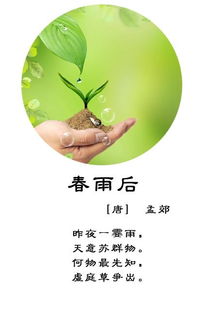 詩(shī)句中寫(xiě)道春雨的古詩(shī)