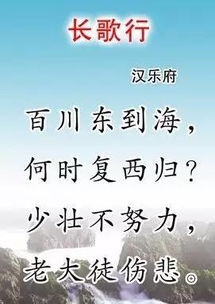 關(guān)于不努力的詩(shī)句是
