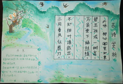 木蘭,詩(shī)句,手抄報