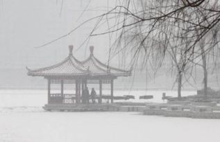 西湖雪的詩(shī)句古詩(shī)